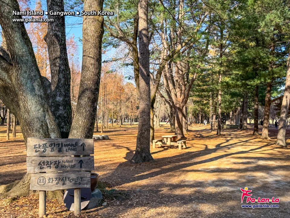 Nami Island